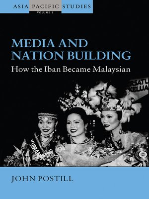 cover image of Media and Nation Building